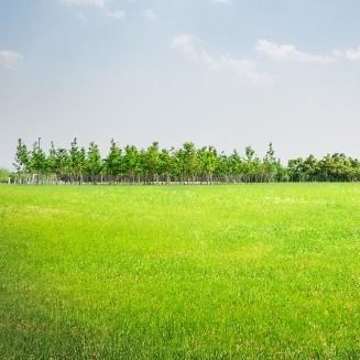Sports Centre & Academy